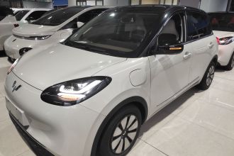 五菱汽车 五菱缤果 2023款 333km 灵犀互联款