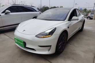 特斯拉 Model 3 2021款 改款二 Performance高性能全轮驱动版
