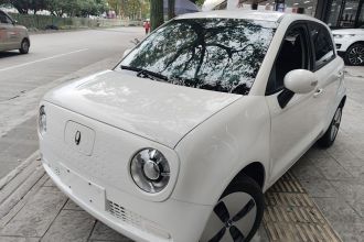 欧拉黑猫 2022款 301km 基础型 三元锂