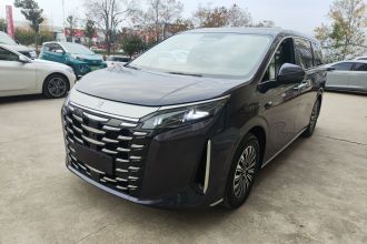 比亚迪 夏 2025款 DM-i 1.5T 100km 领先型