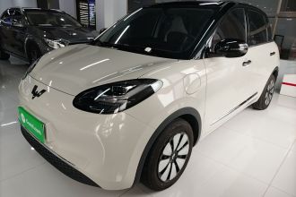 五菱汽车 五菱缤果 2024款 333km 悦享款