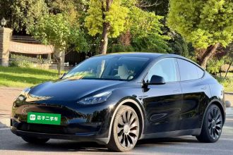 特斯拉 Model Y 2022款 Performance高性能全轮驱动版