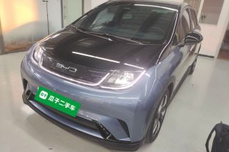 比亚迪 海豚 2023款 401km 骑士版