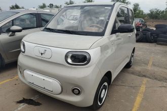 五菱汽车 宏光MINIEV 2024款 第三代 215km 青春版