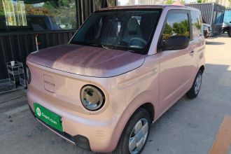 吉利银河 2024款 熊猫mini 200km 耐力熊