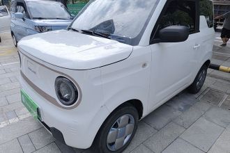 吉利银河 2023款 熊猫mini 120km 超萌熊