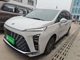 别克GL8新能源 2024款  陆尊 奢享版 7座