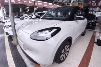 五菱汽车 五菱缤果 2023款 333km 灵犀互联+款