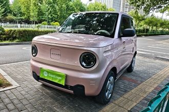 吉利银河 2023款 熊猫mini 200km 耐力熊