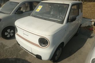吉利银河 2024款 熊猫mini 200km 耐力熊