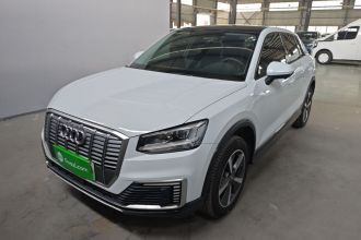 奥迪Q2L e-tron 2019款 Q2L e-tron 纯电智酷型