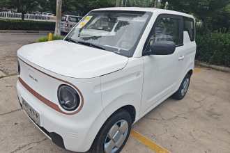 吉利银河 2024款 熊猫mini 200km 耐力熊