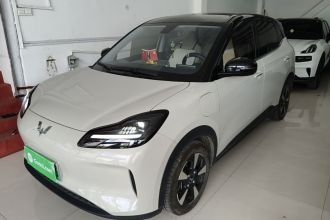 五菱汽车 五菱缤果PLUS 2024款 330km 五座版