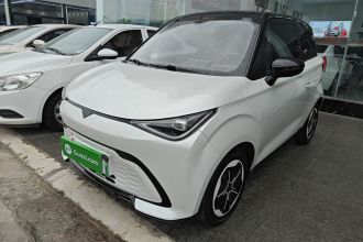 凯翼拾月 2023款 301km 追风版