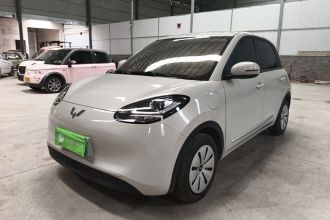 五菱汽车 五菱缤果 2024款 203km 轻享款