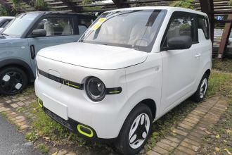 吉利银河 2025款 熊猫mini 210km 元气熊