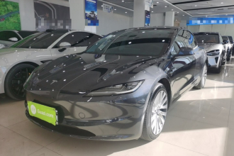 特斯拉 Model 3 2023款 后轮驱动版