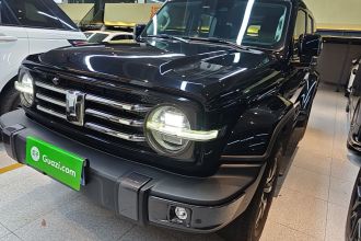 坦克300 2023款 城市版 2.0T 很有型