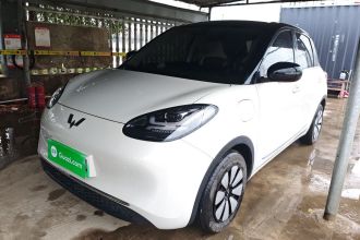 五菱汽车 五菱缤果 2024款 333km 悦享款