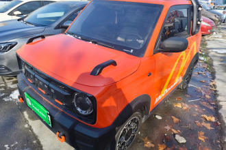 吉利银河 2025款 210km 熊猫骑士