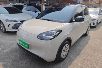 五菱汽车 五菱缤果 2023款 203km 轻享款