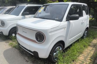 吉利银河 2024款 熊猫mini 200km 耐力熊