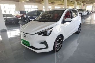 长安 奔奔E-Star 2020款 心动版 三元锂