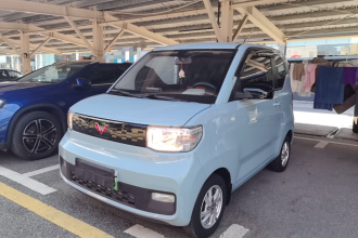 五菱汽车 宏光MINIEV 2020款 自在款 磷酸铁锂