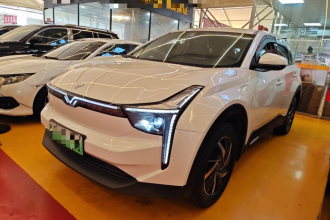 哪吒汽车 哪吒U 2021款 Pro 400 巡航版