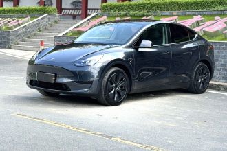 特斯拉 Model Y 2024款 后轮驱动版