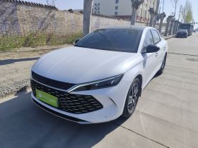 比亚迪 秦L 2024款 DM-i 80KM超越型