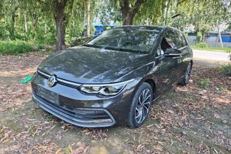 大众 高尔夫 2021款 280TSI DSG Pro