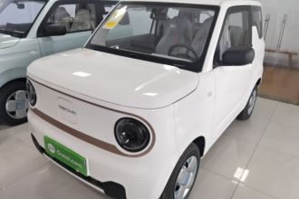 吉利银河 2024款 熊猫mini 200km 耐力熊