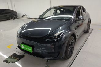 特斯拉 Model Y 2024款 后轮驱动版