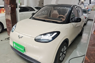 五菱汽车 五菱缤果 2025款 333km 灵犀互联款