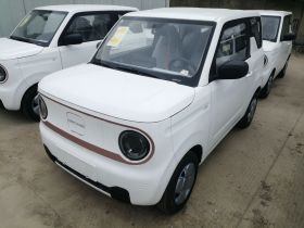 吉利银河 2024款 熊猫mini 200km 耐力熊