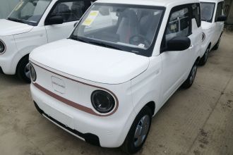 吉利银河 2024款 熊猫mini 200km 耐力熊