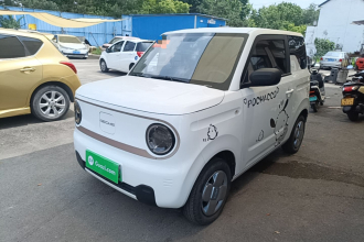 吉利银河 2024款 熊猫mini 200km 耐力熊