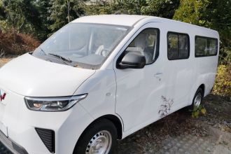 五菱汽车 五菱扬光 2024款 300KM 舒适型客车版 75kW