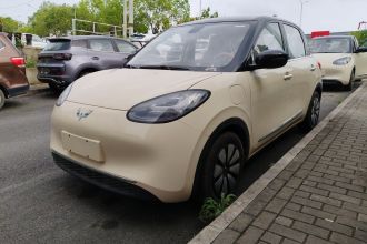 五菱汽车 五菱缤果 2025款 333km 悦享款