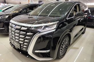 腾势D9 2024款 DM-i 980 四驱旗舰型