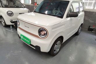 吉利银河 2024款 熊猫mini 200km 耐力熊