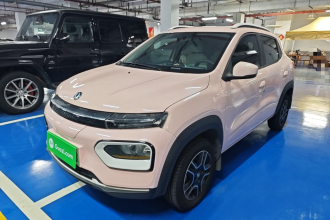 东风纳米 纳米BOX 2022款 追风版 331KM 标准型