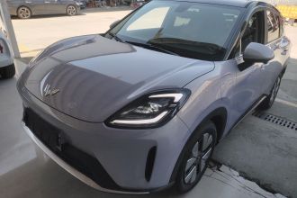 五菱汽车 缤果S 2025款 325km 尊享款