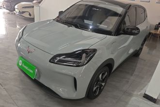五菱汽车 五菱缤果PLUS 2024款 401km 五座版