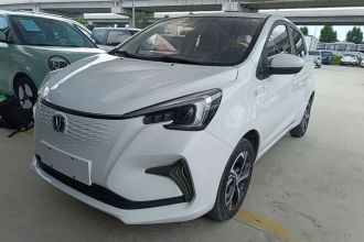 长安 奔奔E-Star 2022款 清心版 多彩款 三元锂