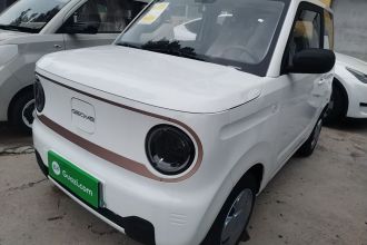 吉利银河 2024款 熊猫mini 200km 耐力熊