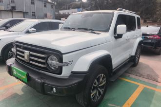 坦克300 2021款 城市版 2.0T 很有型