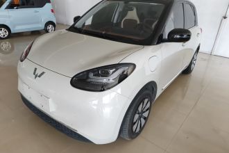 五菱汽车 五菱缤果 2024款 333km 悦享款