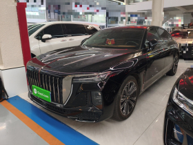 红旗H9 2024款 2.0T 旗畅 私享风尚版